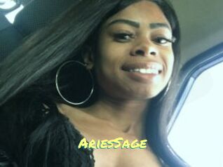 AriesSage