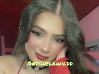Antonelawildd