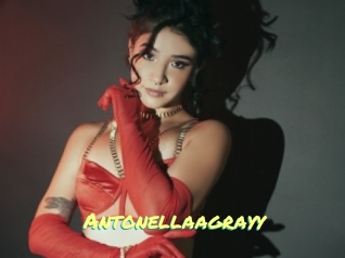 Antonellaagrayy
