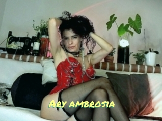 Ary_ambrosia