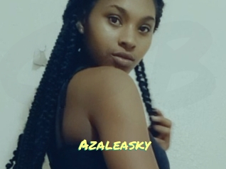 azaleasky Cul de Black