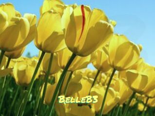 BelleB3