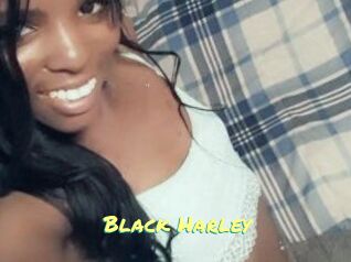 Black_Harley