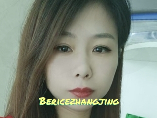 Bericezhangjing