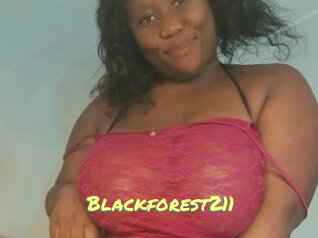 Blackforest211