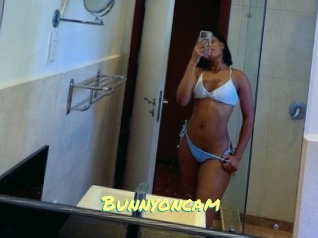 Bunnyoncam