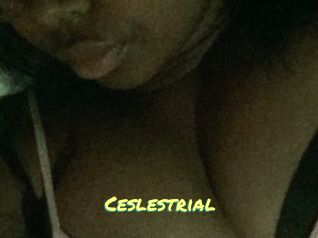 Ceslestrial