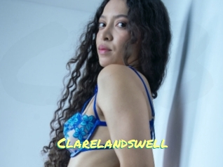 Clarelandswell