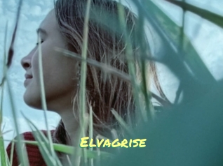 Elvagrise
