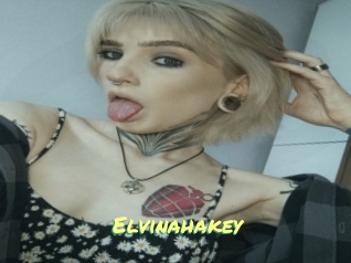Elvinahakey