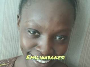 Emilinabakesi