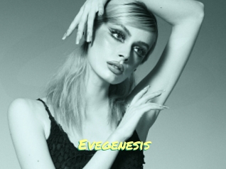 evegenesis Cul de Black