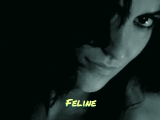 Feline