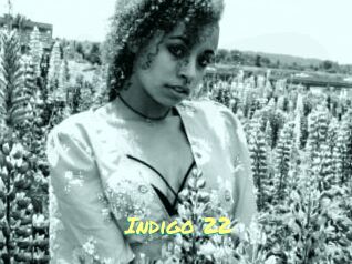 Indigo_22