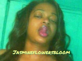 Jasmineflowersbloom