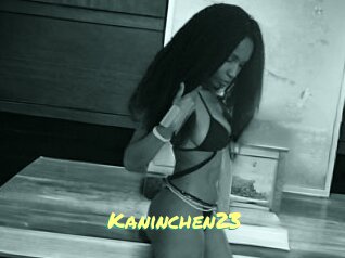 Kaninchen23