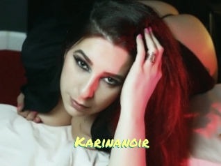 Karinanoir