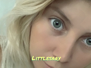 Littlesary