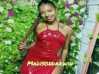 madisondarwin Cul de Black