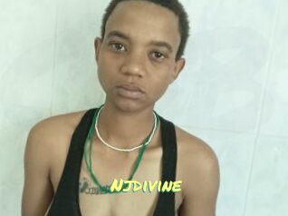 Njdivine
