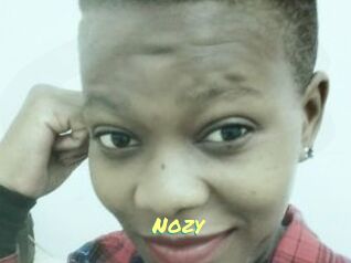 Nozy