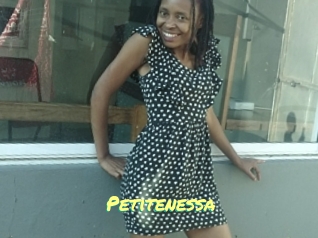 Petitenessa