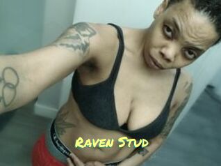 Raven_Stud