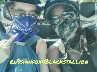 RussianfoxnBlackstallion