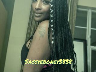 Sassyeboney3838