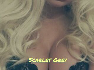 Scarlet_Grey
