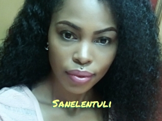 Sanelentuli