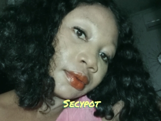 Secypot