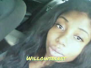 Willow_secret