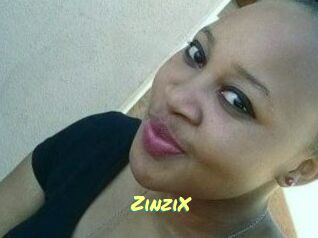 ZinziX