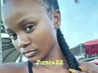 Ziebea22